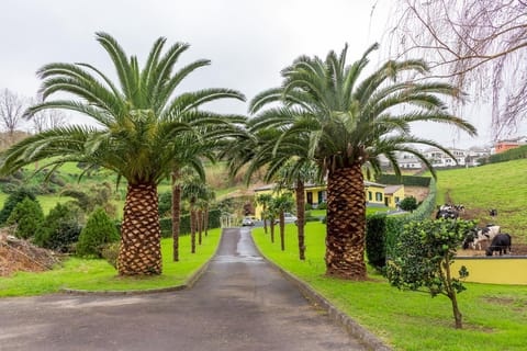 Facade/entrance, Garden, Garden view