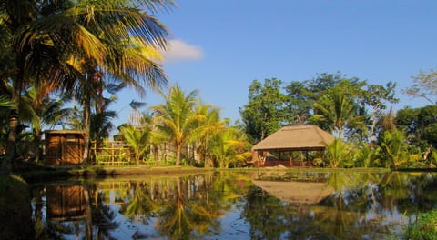 Facade/entrance, Day, View (from property/room), On site, Seasons