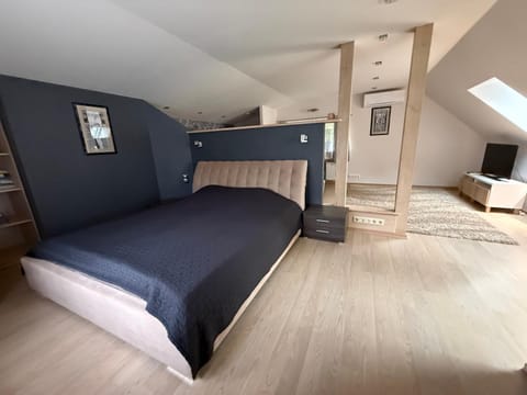 Bed, TV and multimedia, Living room, Photo of the whole room, air conditioner