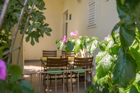 Apartman Asja Apartment in Biograd na Moru