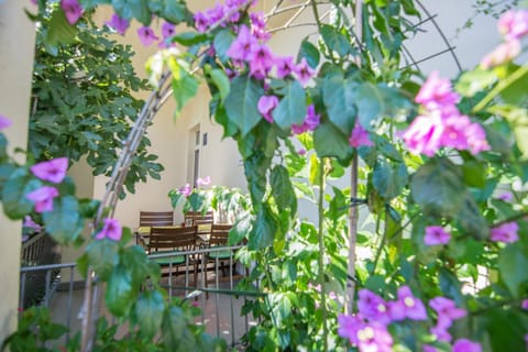 Apartman Asja Apartment in Biograd na Moru