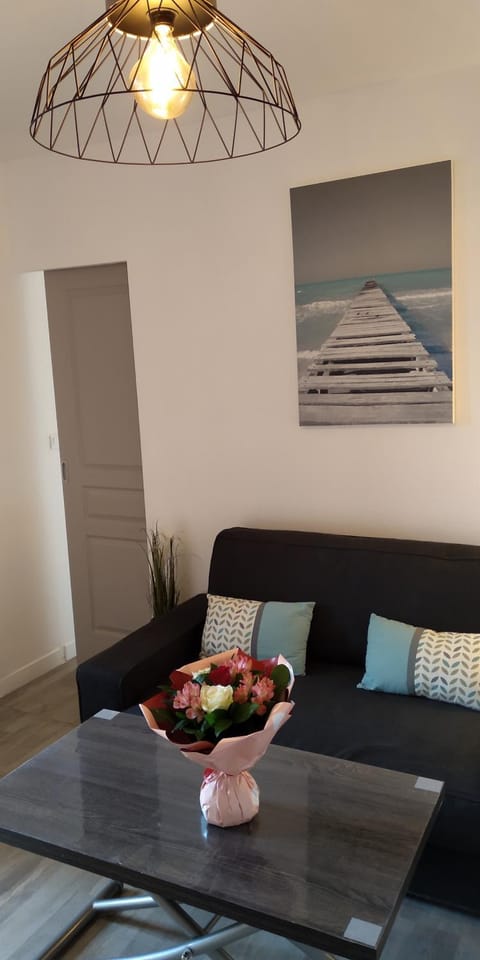 Cabourg, Hypercentre, 2 pièces Cosy Apartment in Cabourg