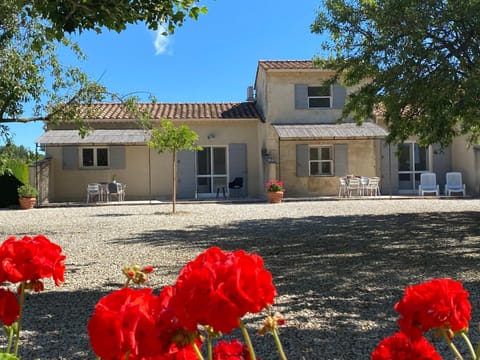 Spring, Day, Garden, Garden view