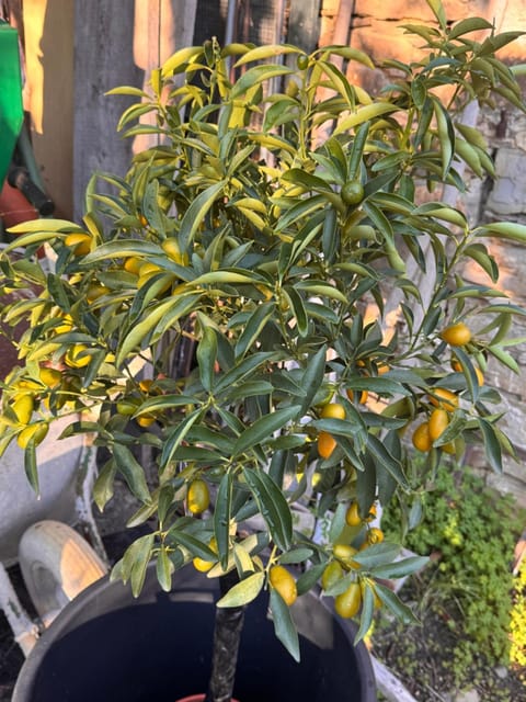 Nostro Rifugio House in Liguria