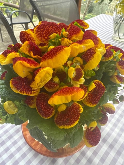 Nostro Rifugio House in Liguria