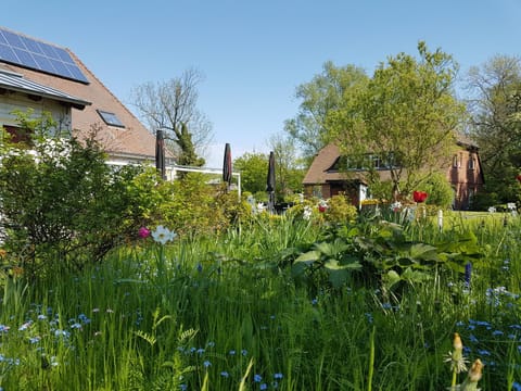 Property building, Garden