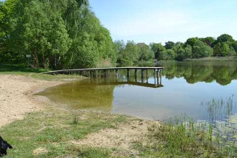 Lake view, River view