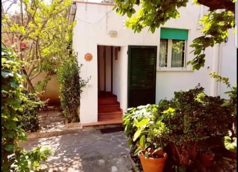 Cavo Beach 4 House in Cavo