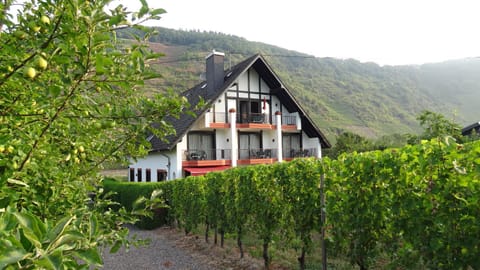 Haus Weingarten FERIENWOHNUNGEN Apartment in Cochem-Zell