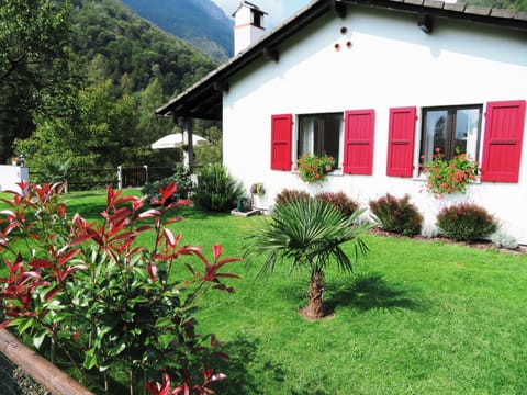 Property building, Garden view