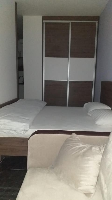 Dream House Apartment in Serbia