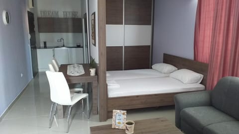 Dream House Apartment in Serbia