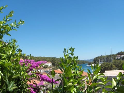 Day, On site, Sea view