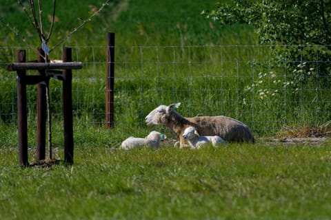 Hof Welzinge House in Zeeland, Netherlands