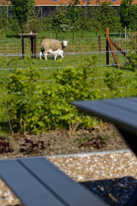 Hof Welzinge House in Zeeland, Netherlands