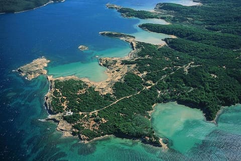 Apartments 501 - Rab island oasis retreat Apartment in Supetarska Draga