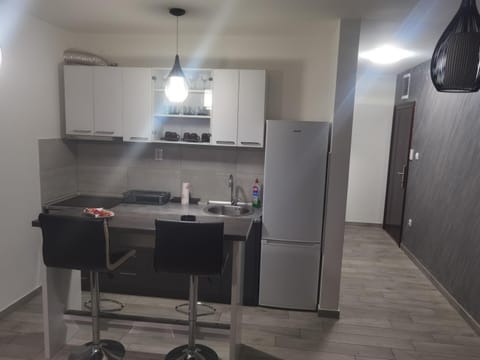 DANICA Apartment in Vojvodina