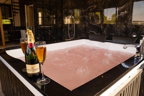 Villa Sunshine Villa in Novi Sad