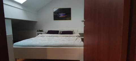 Penthouse Park Apartment in Federation of Bosnia and Herzegovina