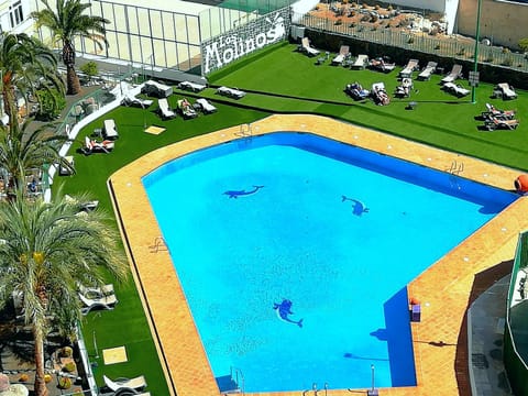 Swimming pool, Swimming pool