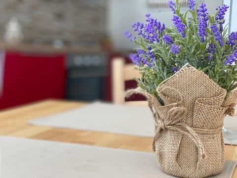 Casa Renato Apartment in Grosseto