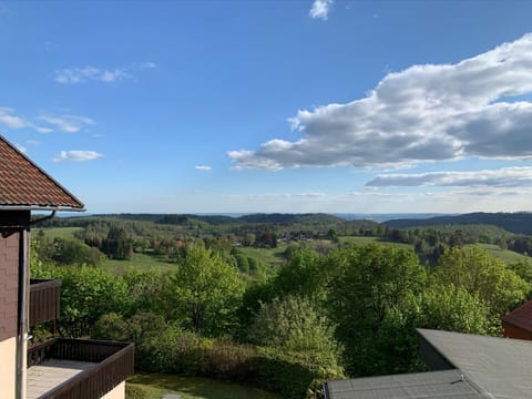Spring, Day, BBQ facilities, Ski School, Skiing, Balcony/Terrace, Mountain view