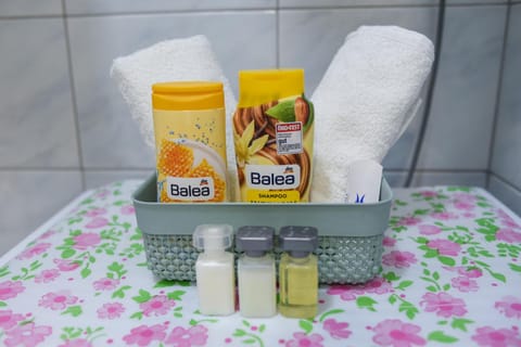 Stevi Apartment Apartment in Skopje