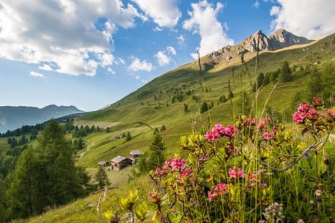 Residence Bannwald Apartment hotel in Trentino-South Tyrol