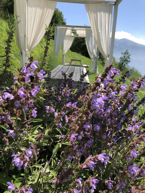 Garden, Garden, Decorative detail