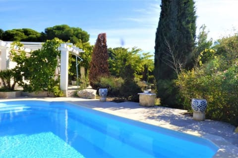 Day, Garden, Swimming pool