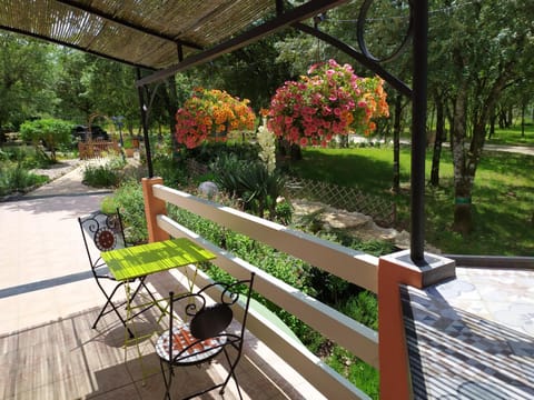 Garden view