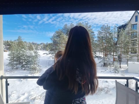 Smiley 1 Apartment in Zlatibor District, Serbia