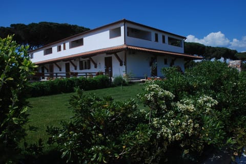Property building, Day, Garden