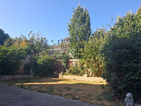Natural landscape, Garden, Garden view