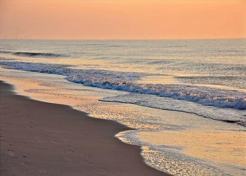 Carolina Dunes 106 House in Myrtle Beach