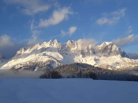 Natural landscape, Winter