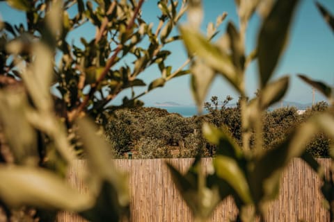 Natural landscape, Garden