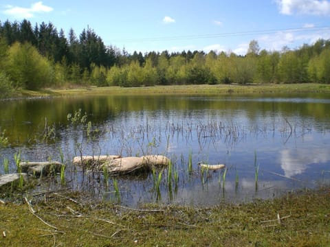 Natural landscape, Lake view