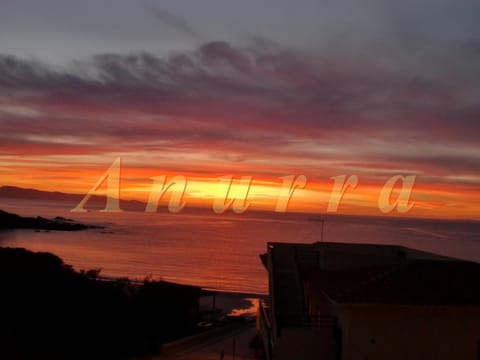 Balcony/Terrace, Sunset