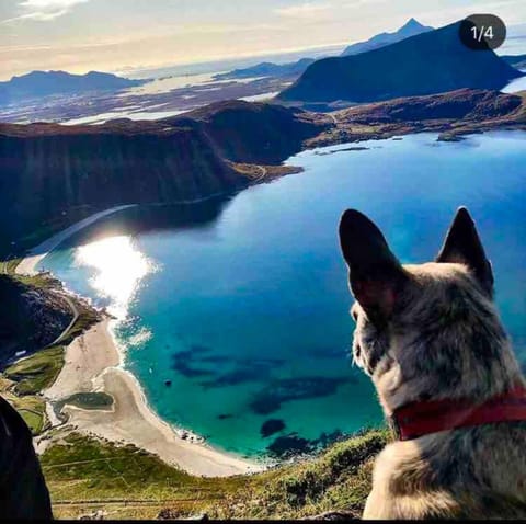 Nearby landmark, Natural landscape, Activities, Beach, Hiking, Pets, Mountain view, Sea view