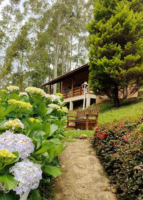 Natural landscape, Garden