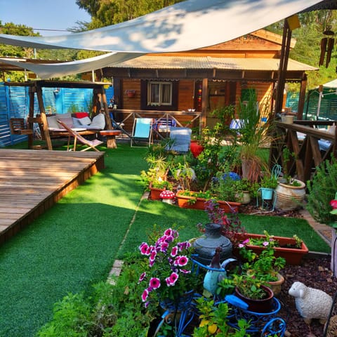 Patio, Garden