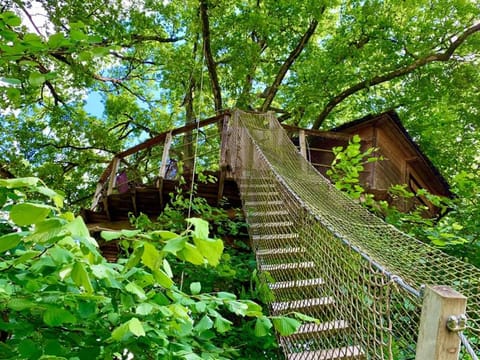 Natural landscape, Balcony/Terrace, Garden view, acessibility