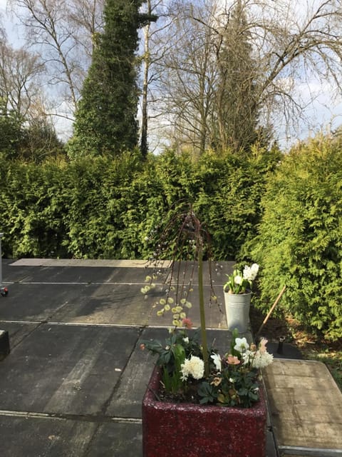 Garden, Decorative detail, Garden view