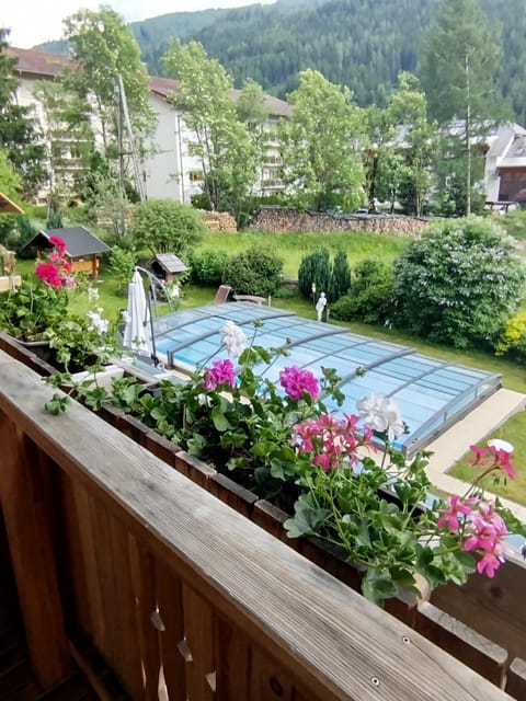 Natural landscape, Garden view, Pool view