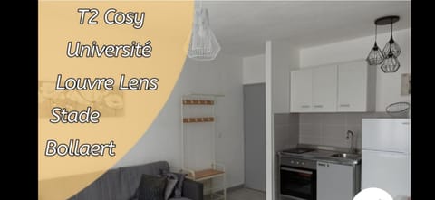 Les chevalets I classé 2 étoiles Apartment in Lens