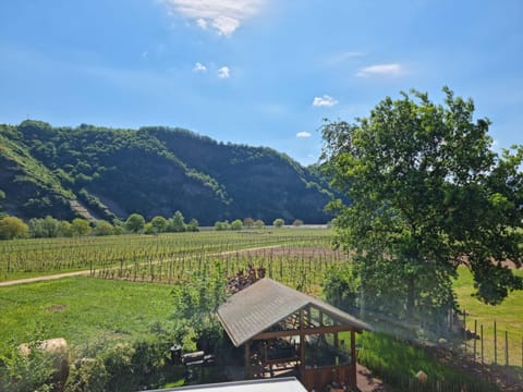 Ferienwohnung Arens Apartment in Trier-Saarburg