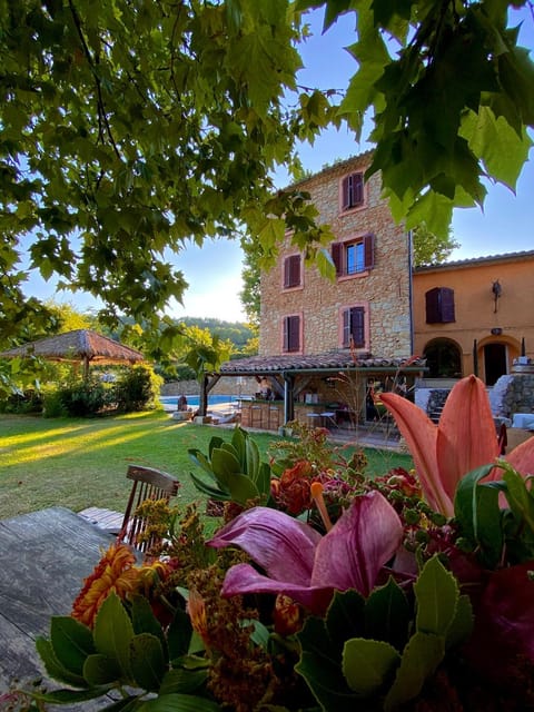 Natural landscape, Summer, Garden
