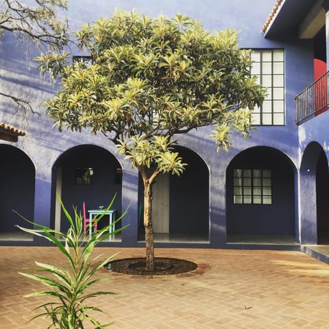 Property building, Patio