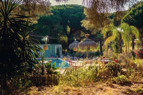Restaurant/places to eat, Swimming pool, Breakfast
